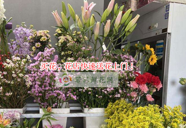潍坊昌邑市买花,潍坊昌邑市花店快速送花上门!